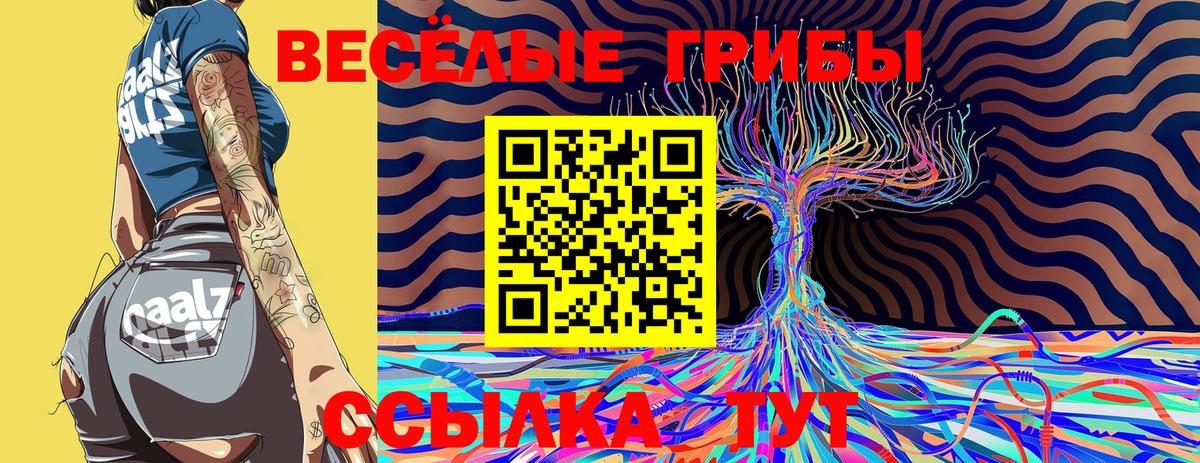 Владимир  Псилоцибиновые грибы Psilocybine cubensis  Вход с VPN 