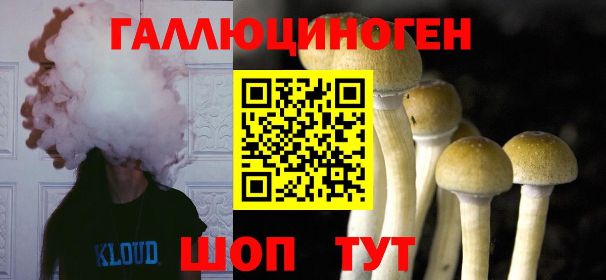 Псилоцибиновые грибы прущие грибы Владимир