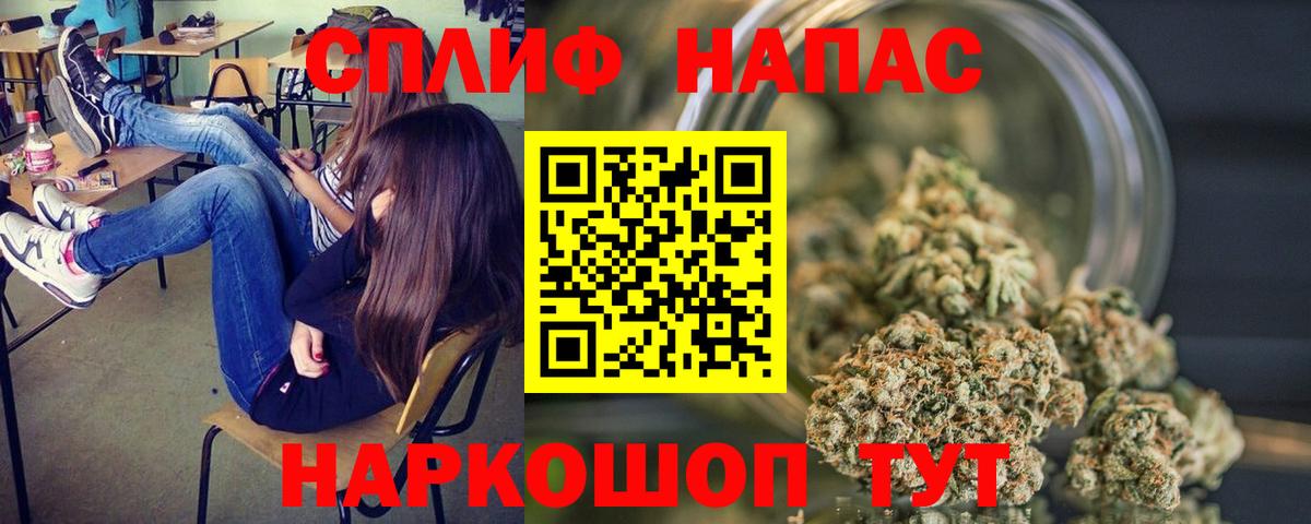 Бошки Шишки MAZAR Владимир